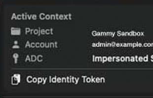 Active context view with Copy Identity Token button showing checkmark feedback